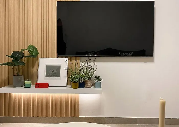 The Olive Shore Signature Skg